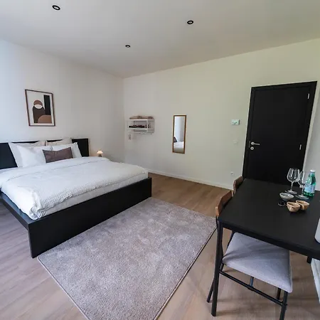 Appartement Private In Shared 7br Aprt, With Wifi Near Center Gand