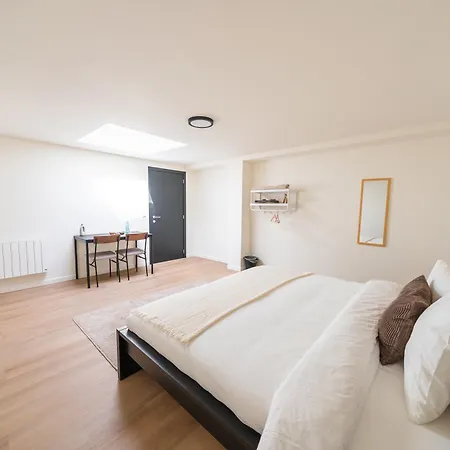 Appartement Private In Shared 7br Aprt, With Wifi Near Center Gand